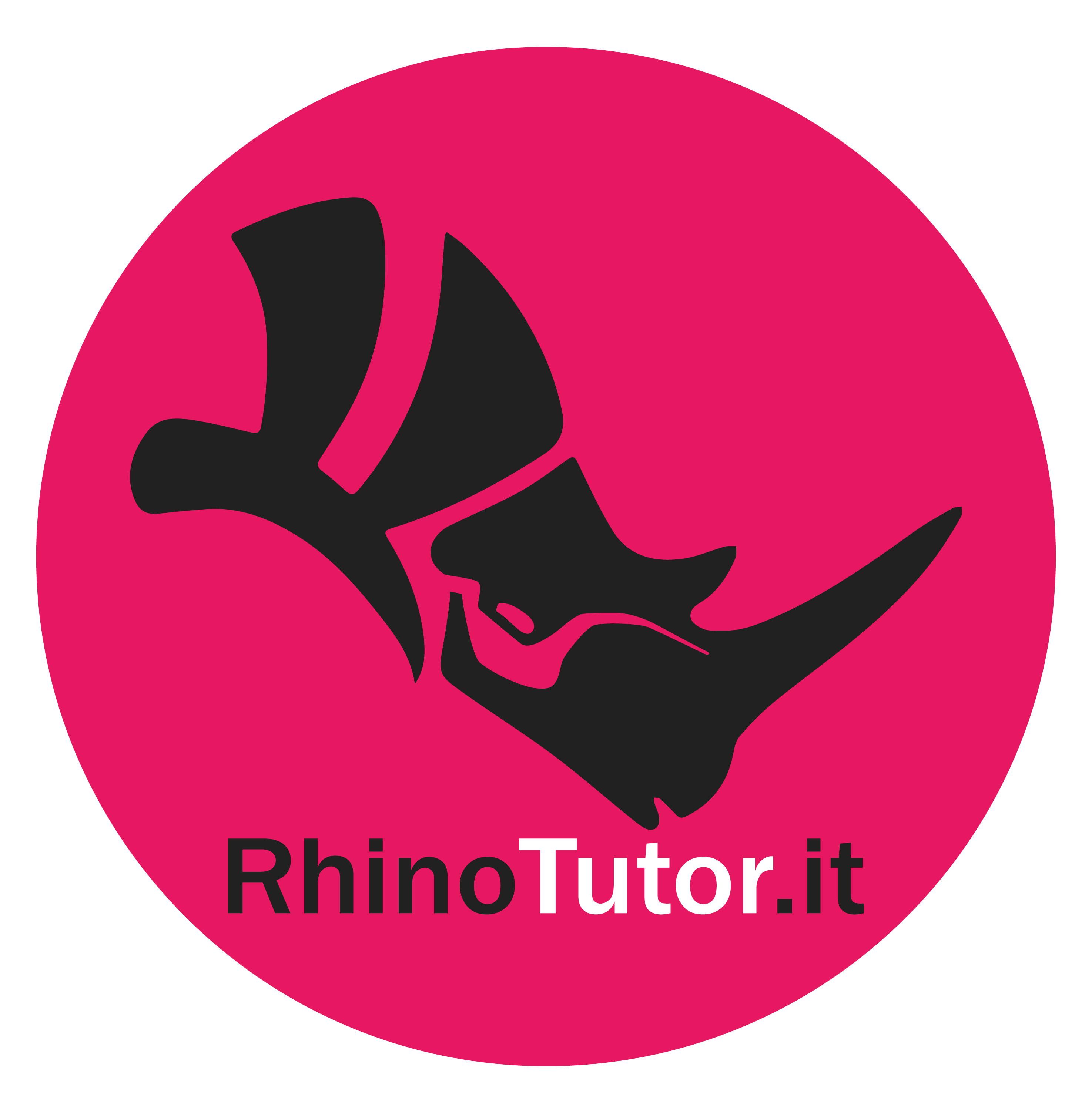 logo rhinotutor